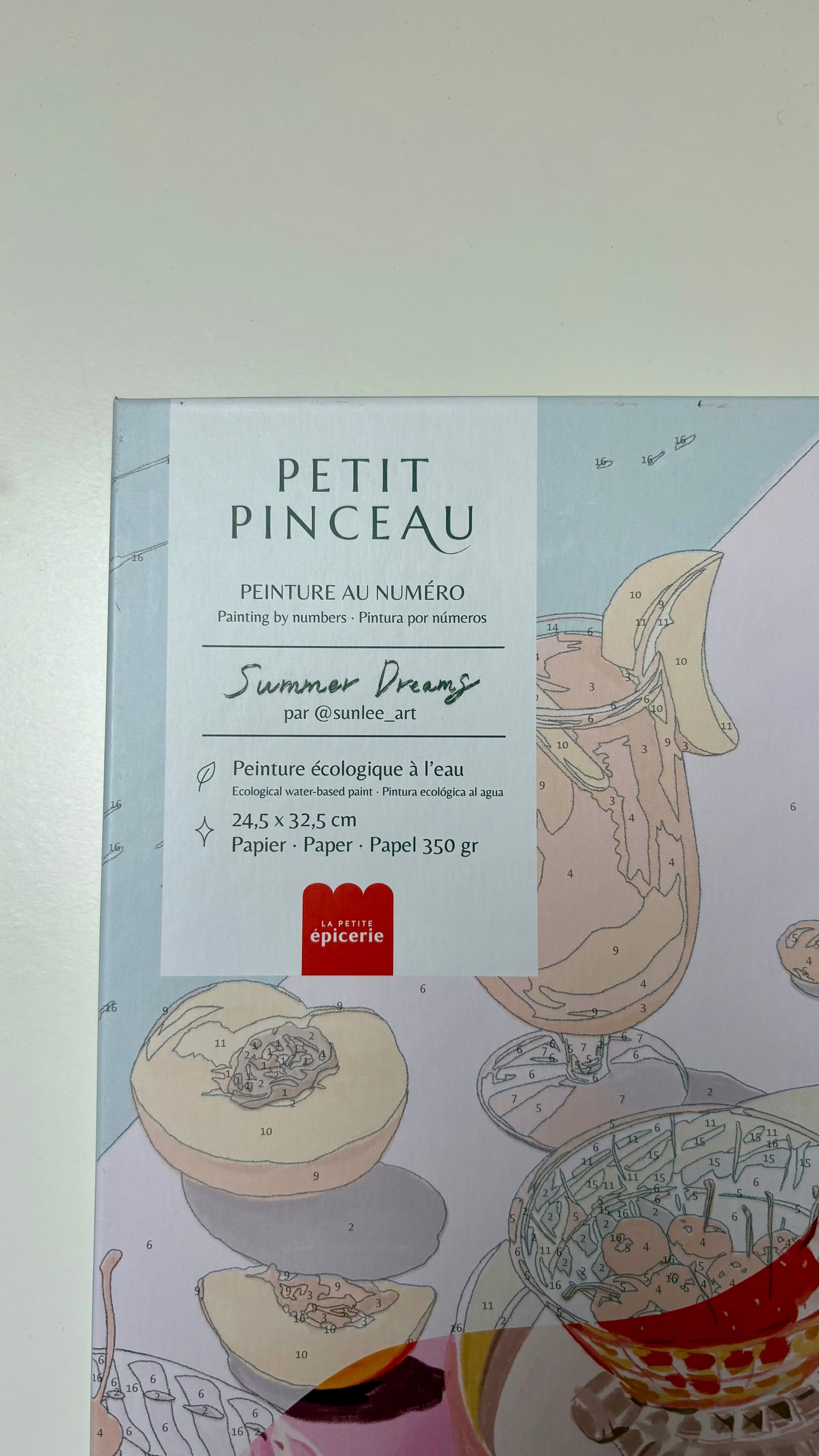 SUMMER DREAMS - Peinture par numéro